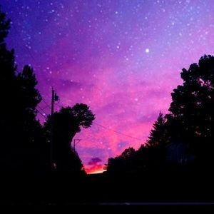 Meet your Posher, Bailey